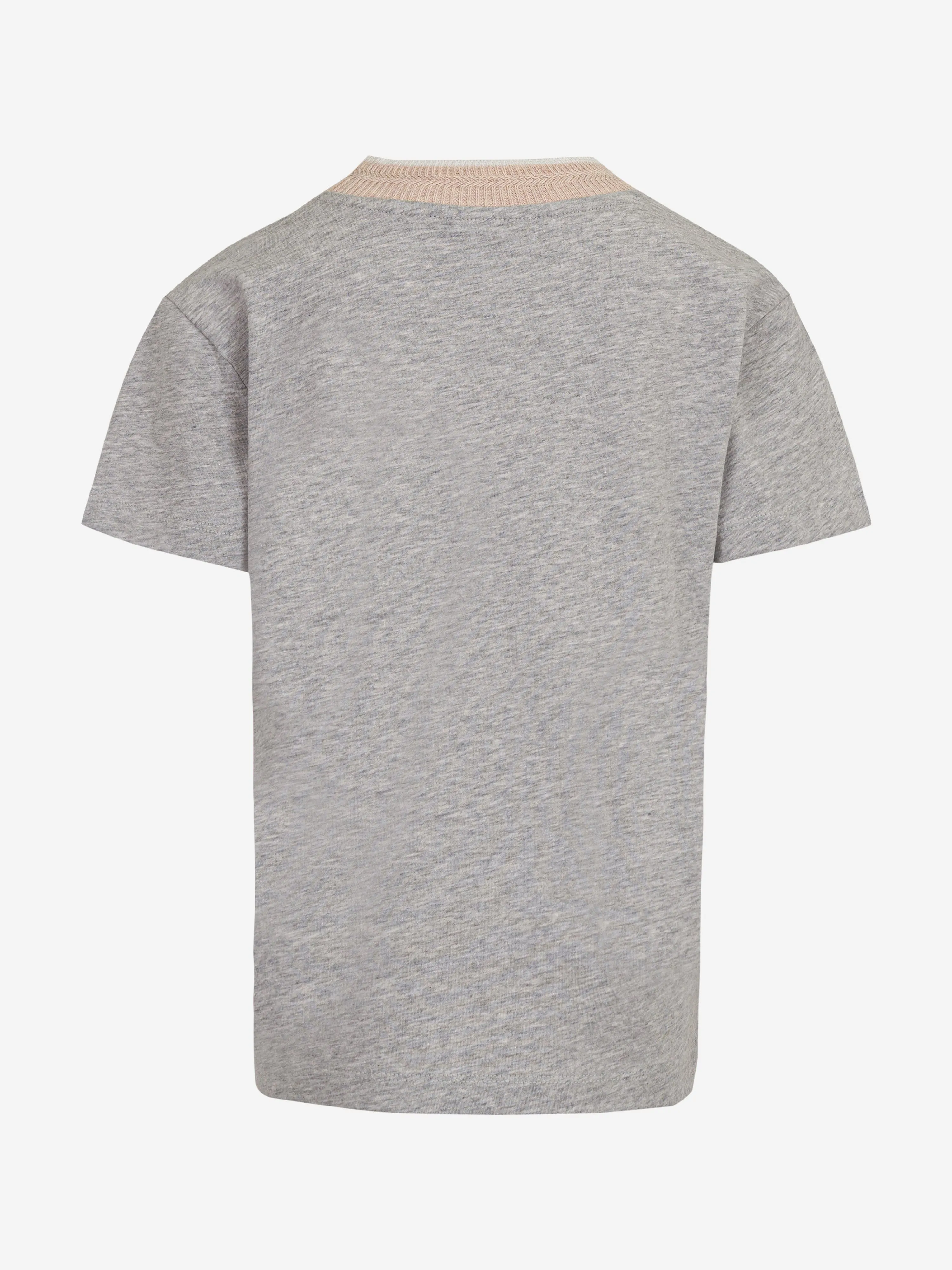 Boys Logo T-Shirt in Grey