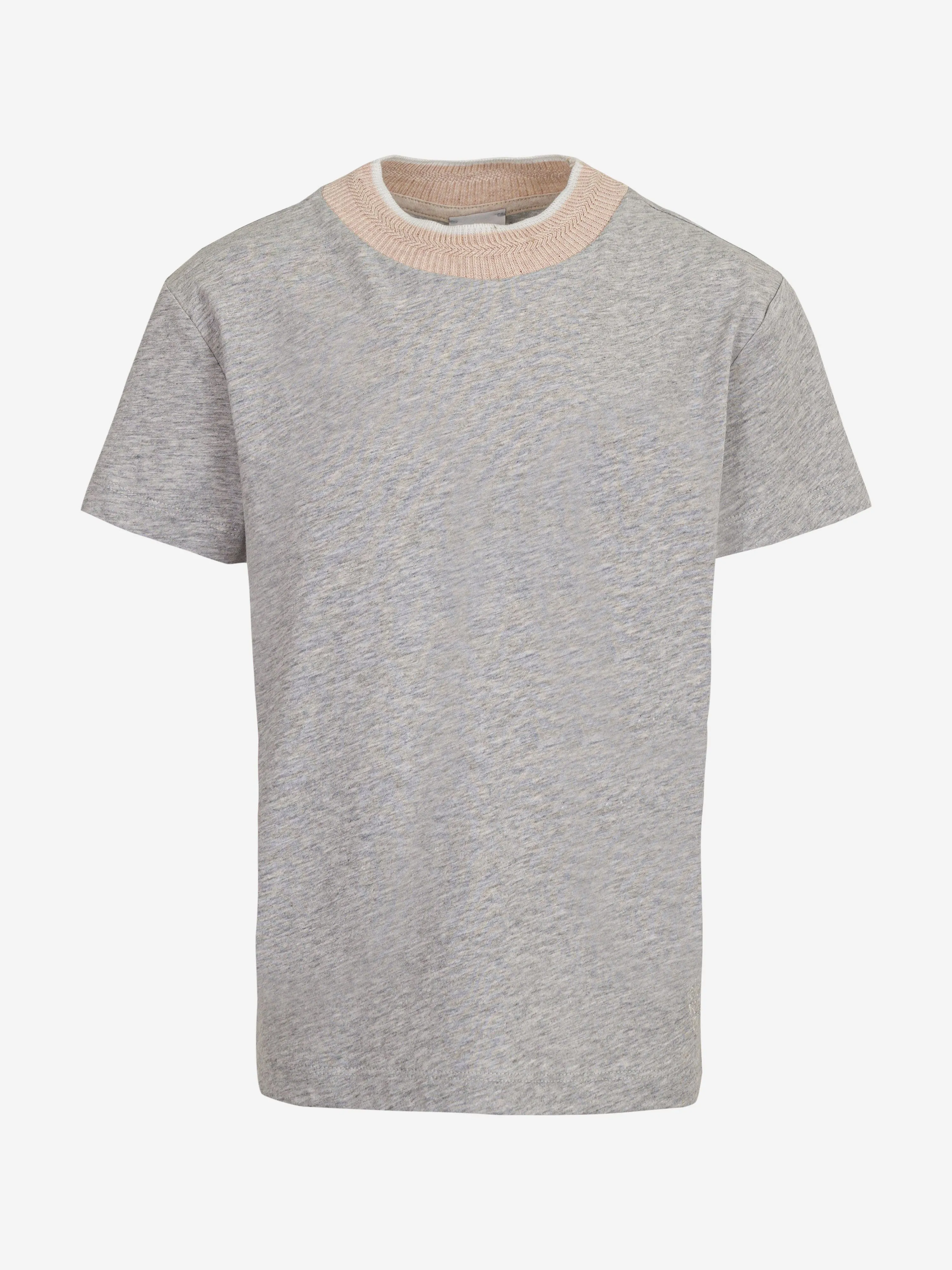 Boys Logo T-Shirt in Grey