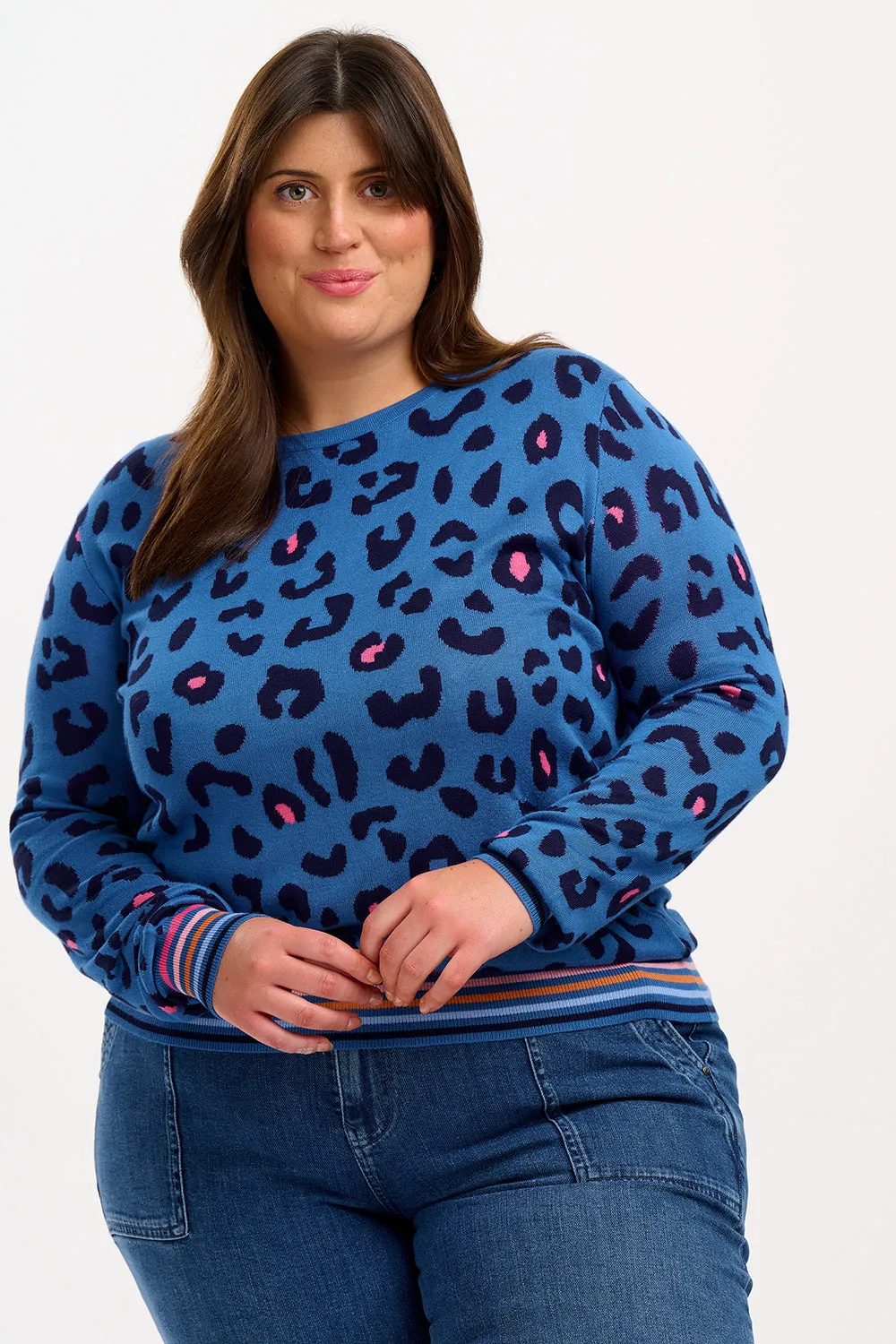 Callie Jumper - Blue. Leopard Pop Stripe