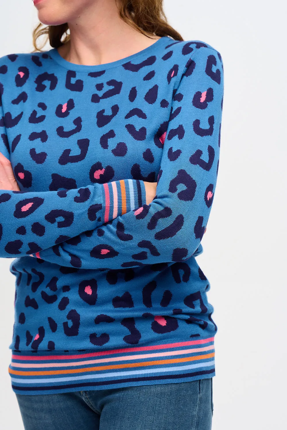 Callie Jumper - Blue. Leopard Pop Stripe