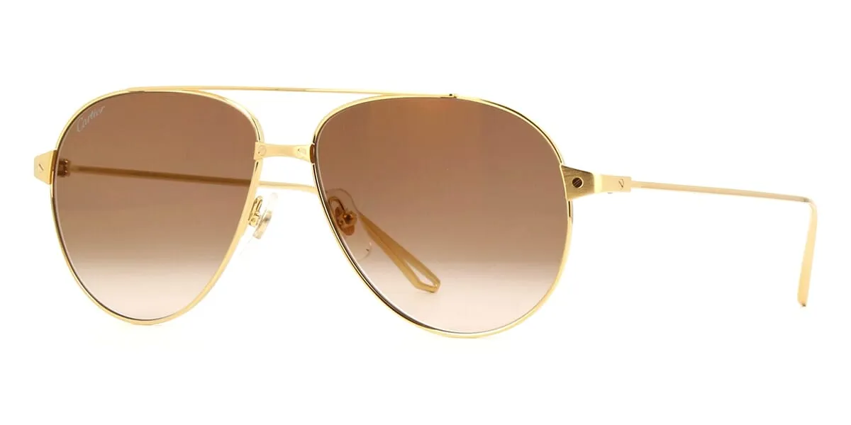 Cartier CT0298S 002