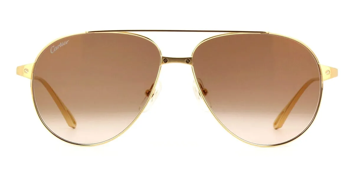 Cartier CT0298S 002