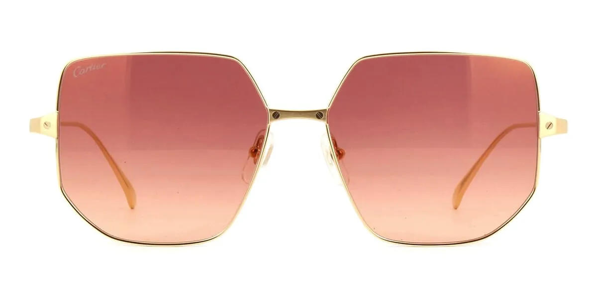 Cartier CT0327S 003