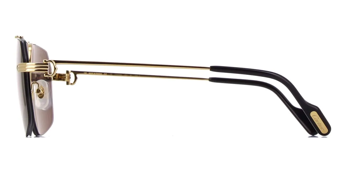 Cartier CT0426S 001