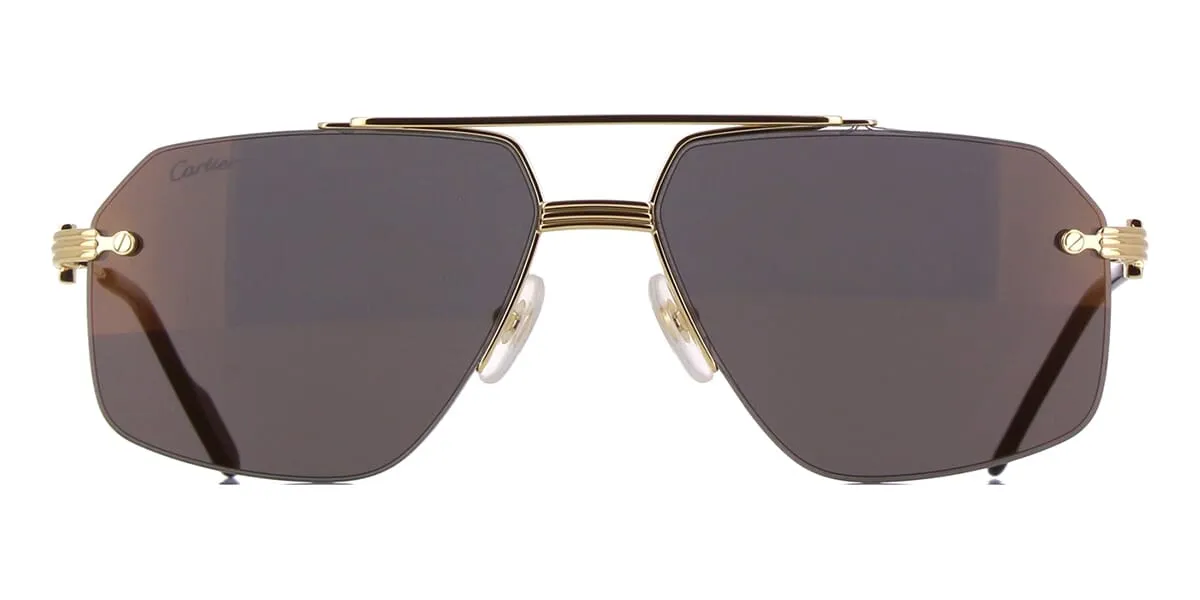 Cartier CT0426S 001