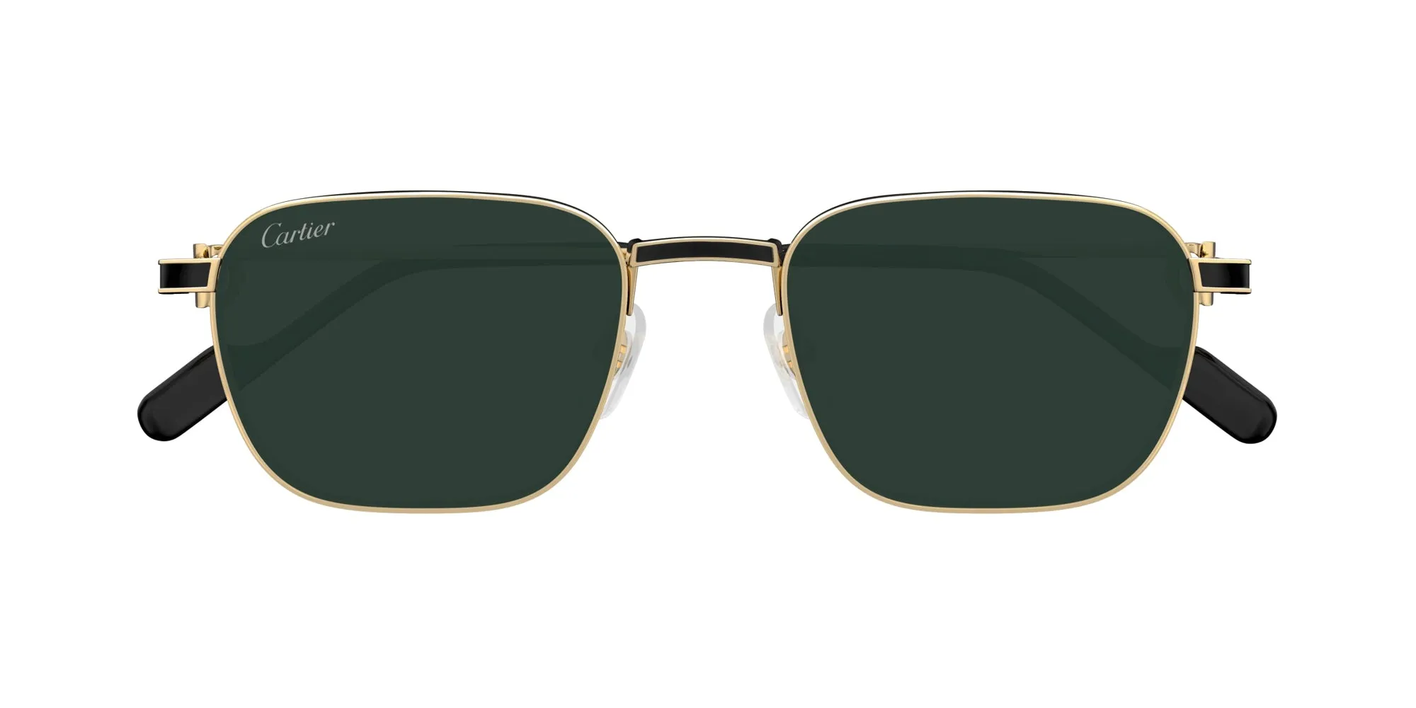 Cartier CT0497S