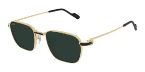 Cartier CT0497S