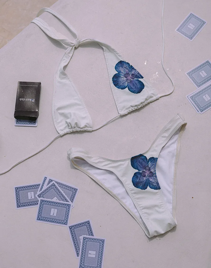 Cerry Bikini Top in Ivory with Blue Orchid