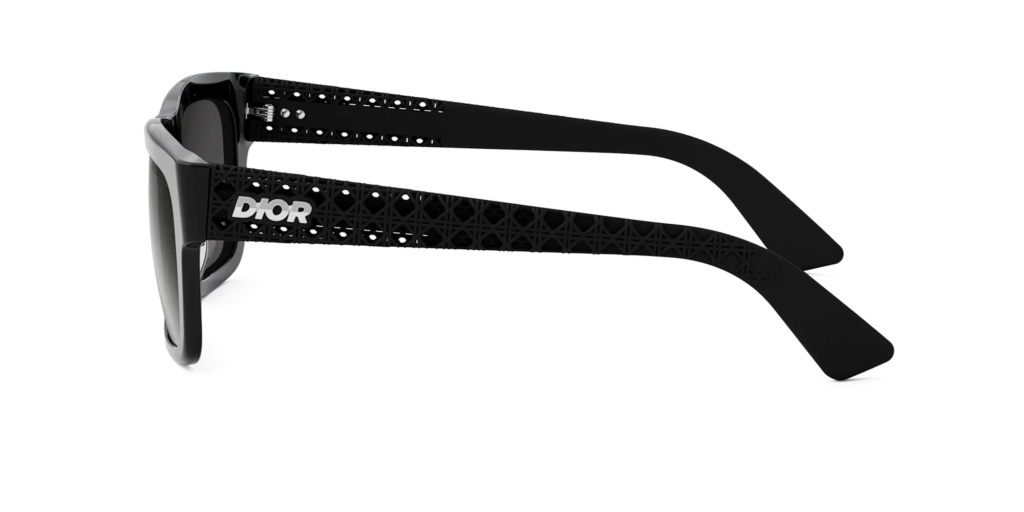Dior 3D S2I