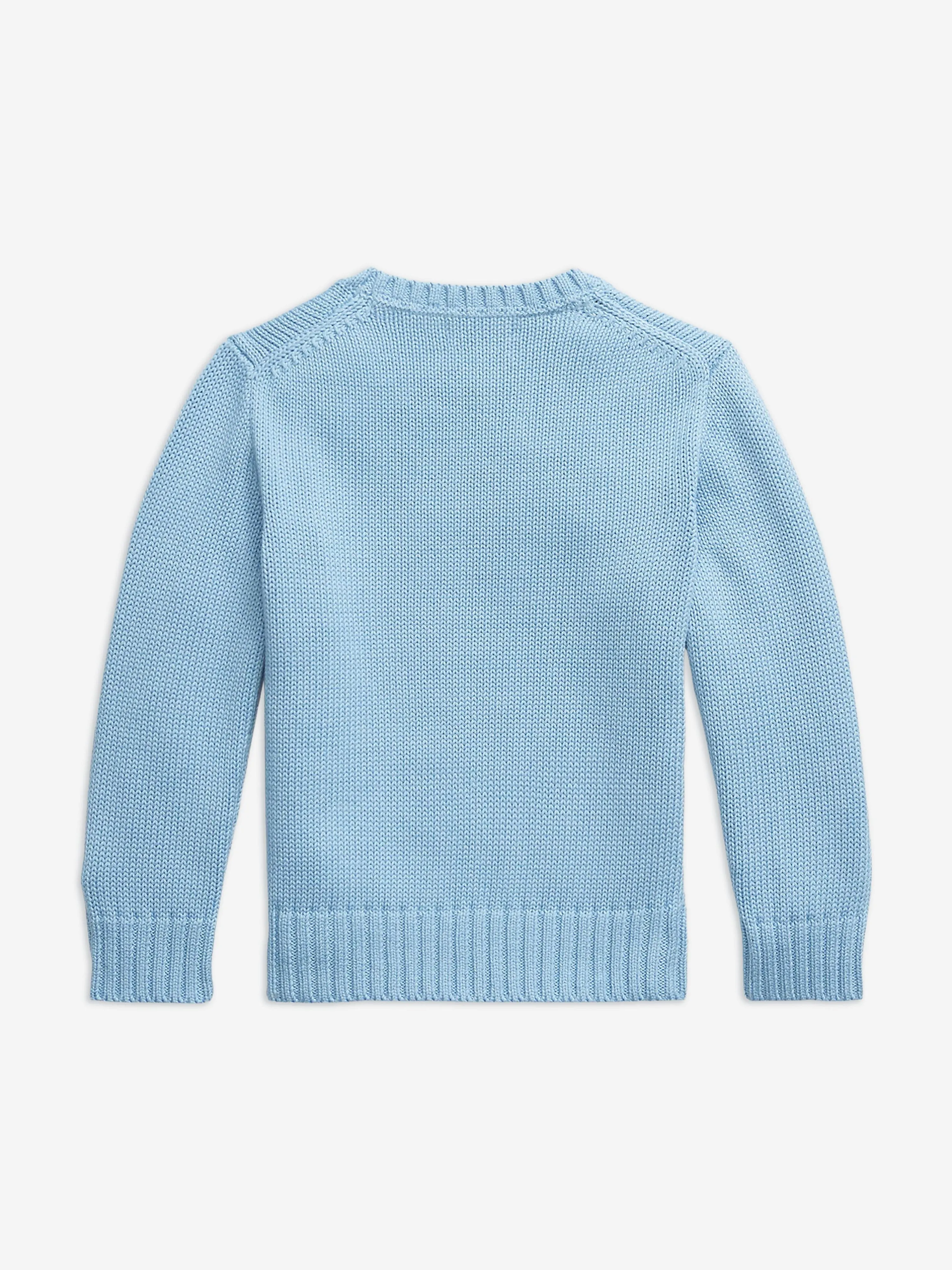 Ralph Lauren Boys Cotton Knit Jumper in Blue