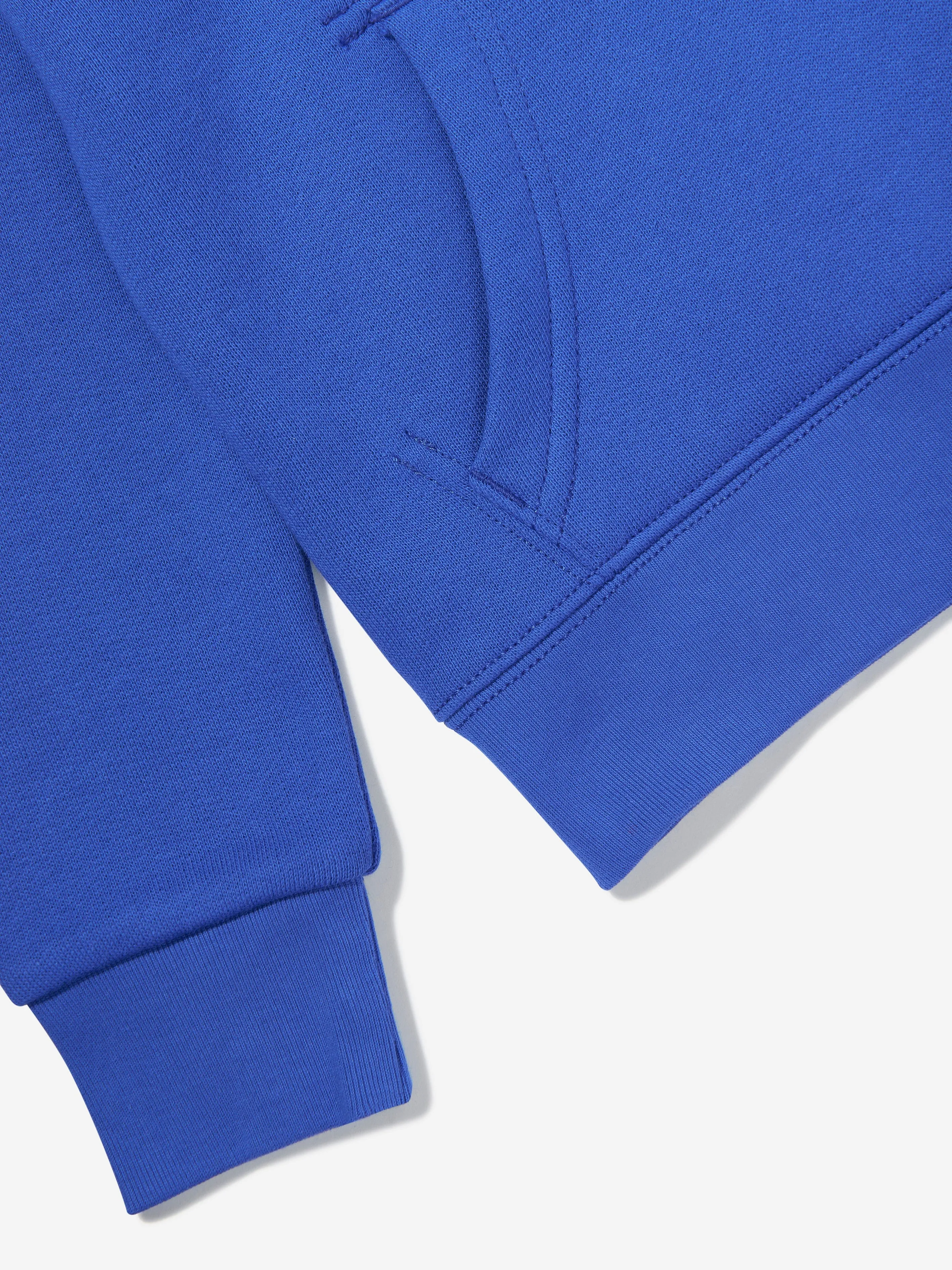 Ralph Lauren Boys Polo Hoodie in Blue