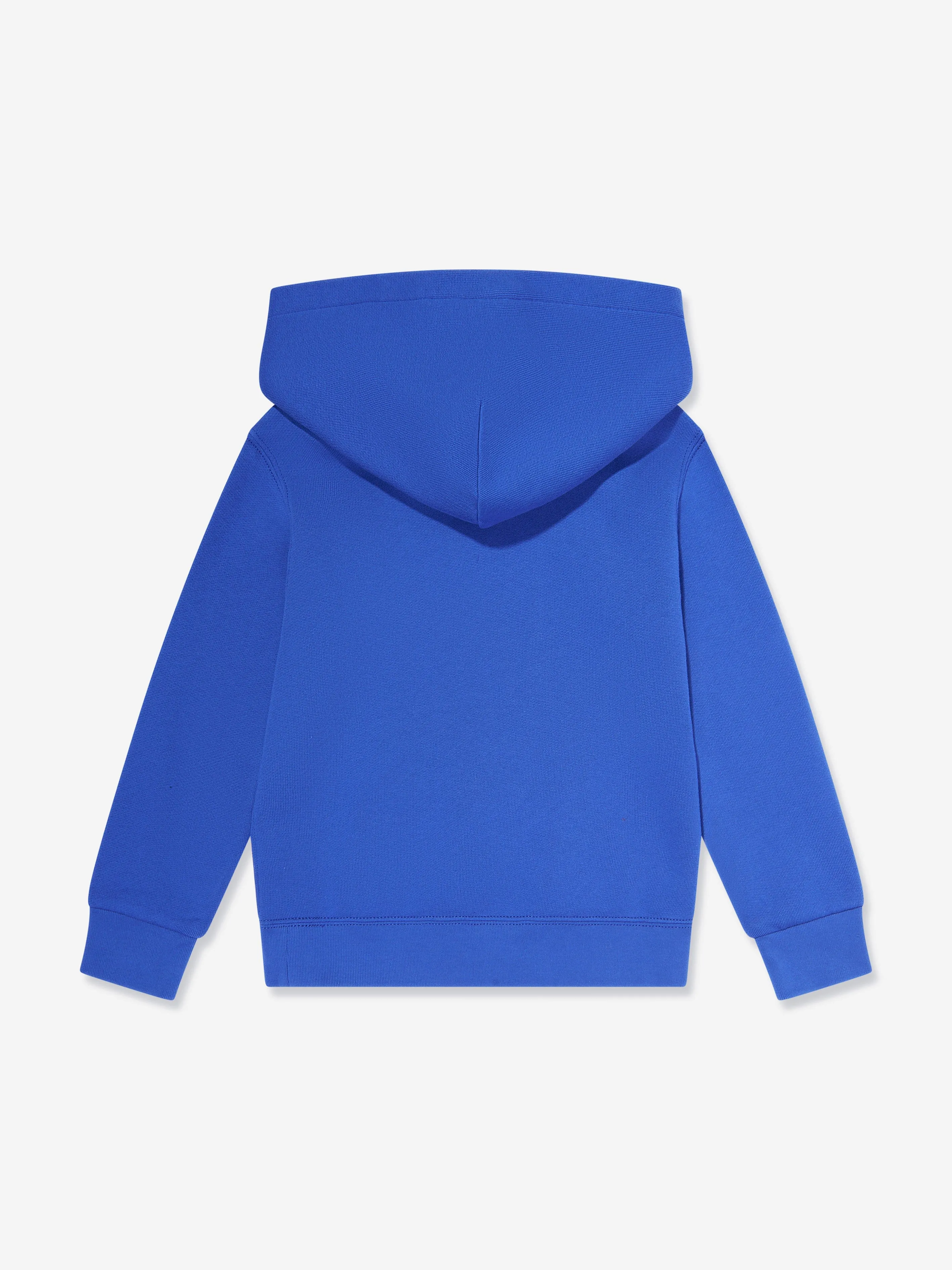 Ralph Lauren Boys Polo Hoodie in Blue