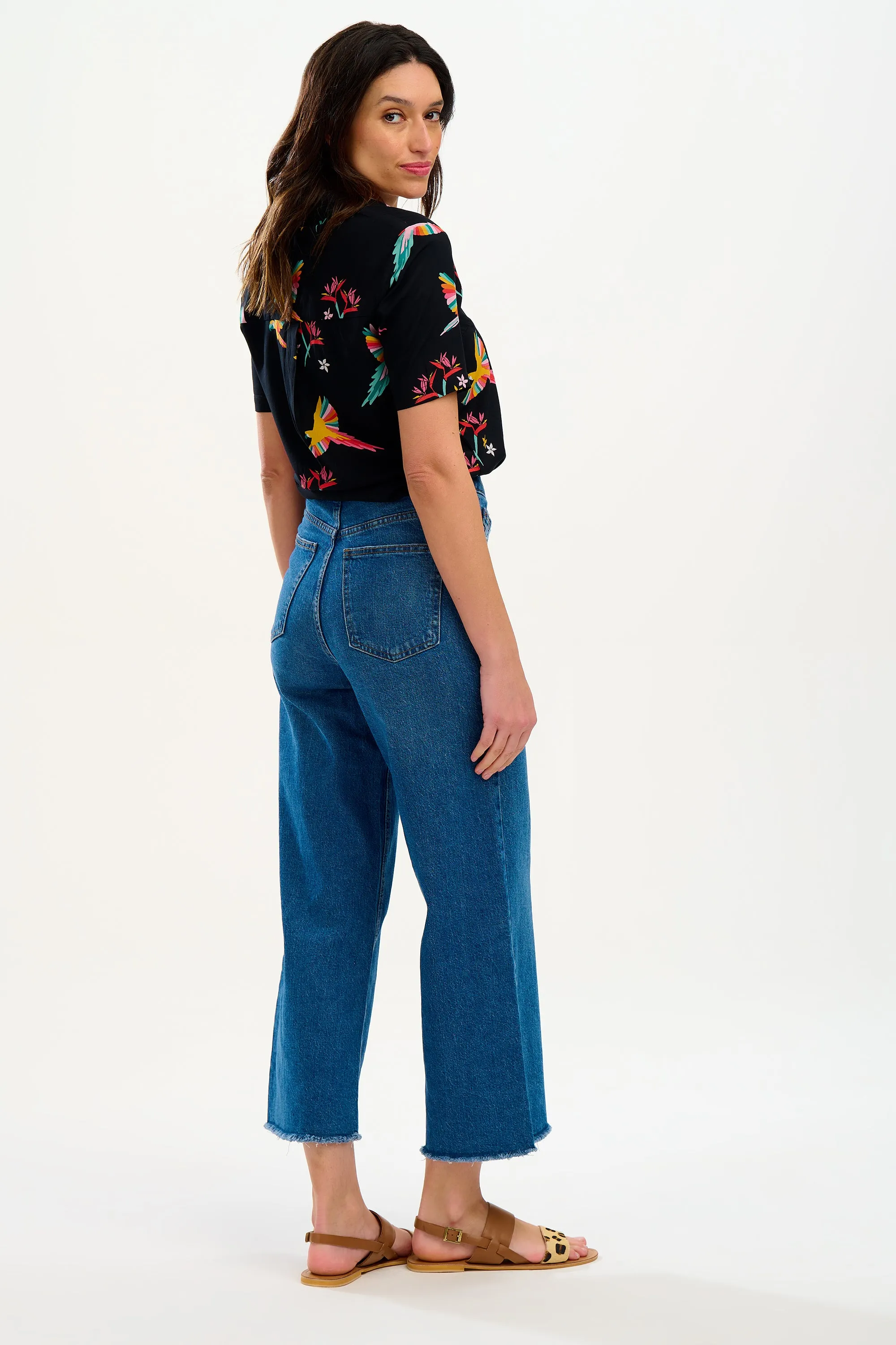 Santana Shirt - Black. Tropical Parrots