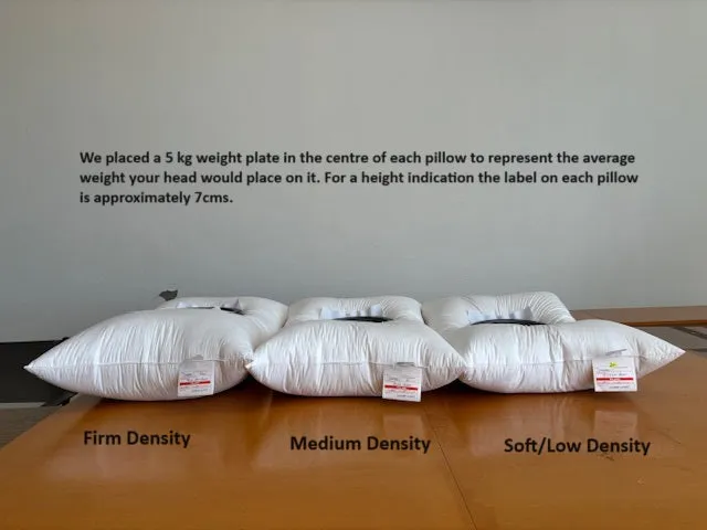 USA Standard Size Soft-Medium Density Pillow 95% White Snow Goose Down German Batiste TE100